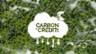Startup CNaught Makes Buying Carbon Credits Easy