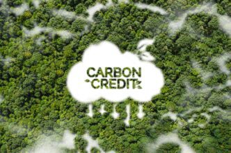 Startup CNaught Makes Buying Carbon Credits Easy